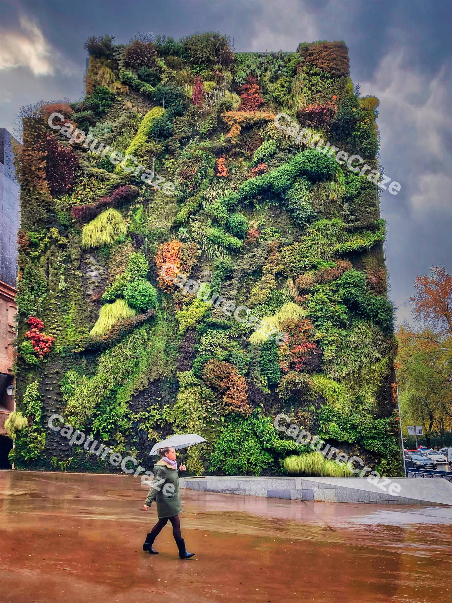 Garden wall